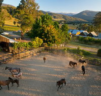 Spring Spur - New South Wales Tourism 