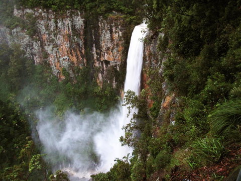 Springbrook Lyrebird Retreat - New South Wales Tourism  2