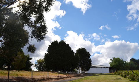 Springhill Winery - New South Wales Tourism  2
