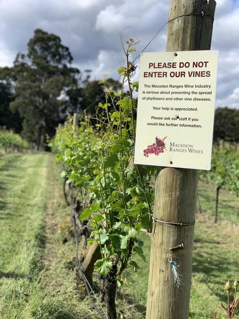 Springhill Winery - New South Wales Tourism  3
