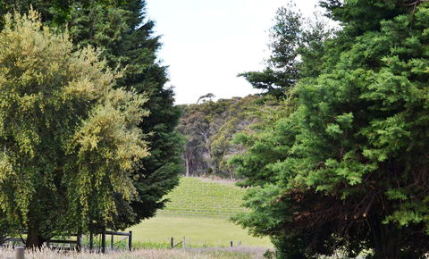 Springhill Winery - New South Wales Tourism  1