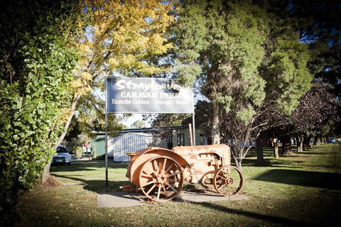 Strayleaves Caravan Park - New South Wales Tourism  0