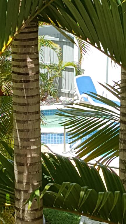Studio Apartment Mooloolaba Beach Holiday Management - New South Wales Tourism  0