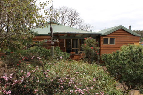 Sunflowers Animal Farm & Farmstay - New South Wales Tourism  0