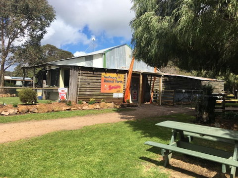 Sunflowers Animal Farm & Farmstay - New South Wales Tourism  2