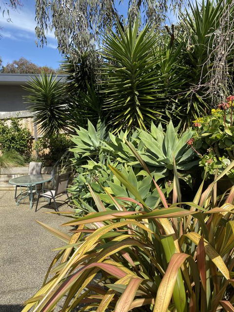 Surf Coast Haven - New South Wales Tourism  3