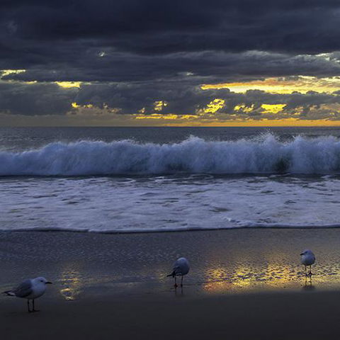 Surfers Horizons - New South Wales Tourism  3