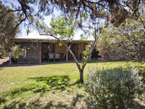 Tea Tree - New South Wales Tourism  1