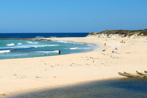 Tea Tree - New South Wales Tourism  2