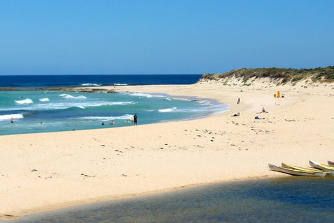 Tea Tree - New South Wales Tourism  2