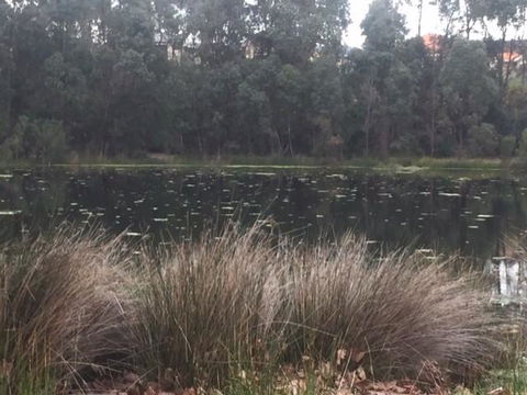 Telperon (2 Rooms, 3-4 Guests) - New South Wales Tourism  2