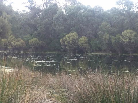 Telperon (2 Rooms, 3-4 Guests) - New South Wales Tourism  1
