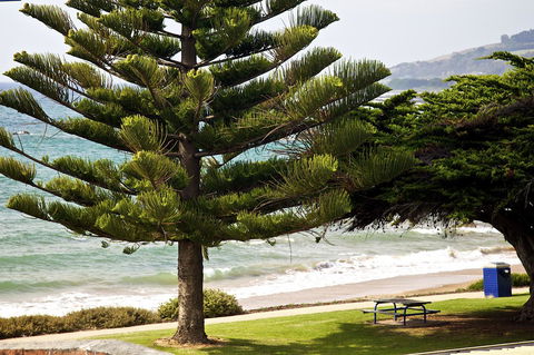 Penguin Beachfront Apartments - New South Wales Tourism  9