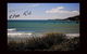 Penguin Beachfront Apartments - thumb 5