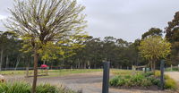 Book Lebrina Accommodation Vacations New South Wales Tourism New South Wales Tourism 