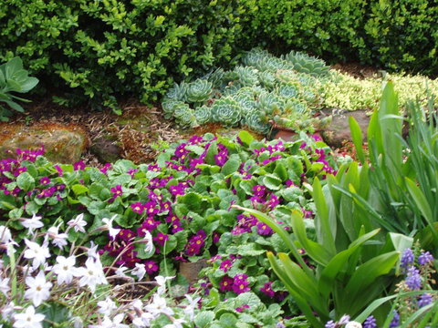 Topiary Haven - New South Wales Tourism  27