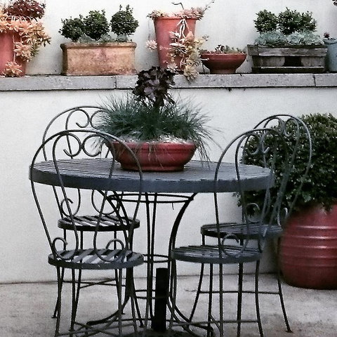 Topiary Haven - New South Wales Tourism  14