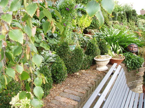 Topiary Haven - New South Wales Tourism  25