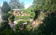 Topiary Haven - thumb 11