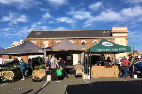 Topiary Haven - New South Wales Tourism  7