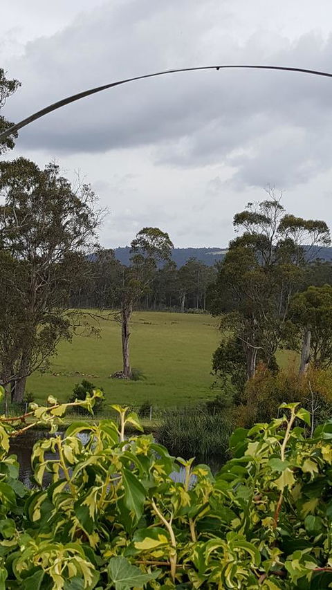 Hazelcreek Cottages - New South Wales Tourism  34