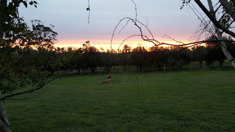 Hazelcreek Cottages - New South Wales Tourism  33