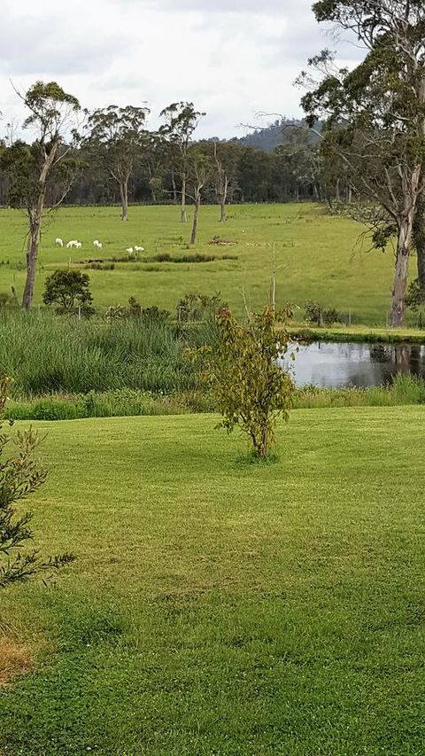 Hazelcreek Cottages - New South Wales Tourism  7