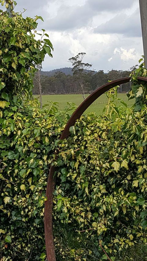 Hazelcreek Cottages - New South Wales Tourism  36