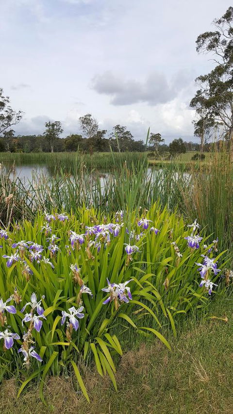 Hazelcreek Cottages - New South Wales Tourism  1