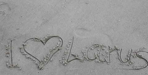 Larus Waterfront Cottage - New South Wales Tourism  19