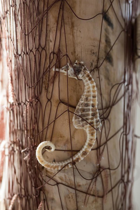 Larus Waterfront Cottage - New South Wales Tourism  18