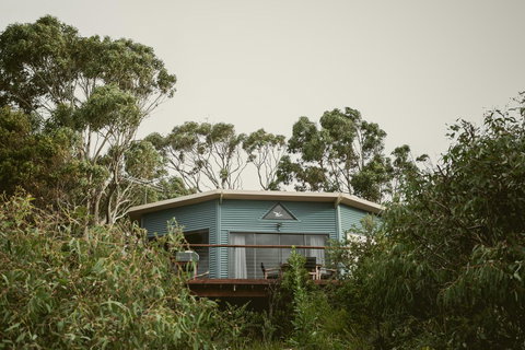 Larus Waterfront Cottage - New South Wales Tourism  15