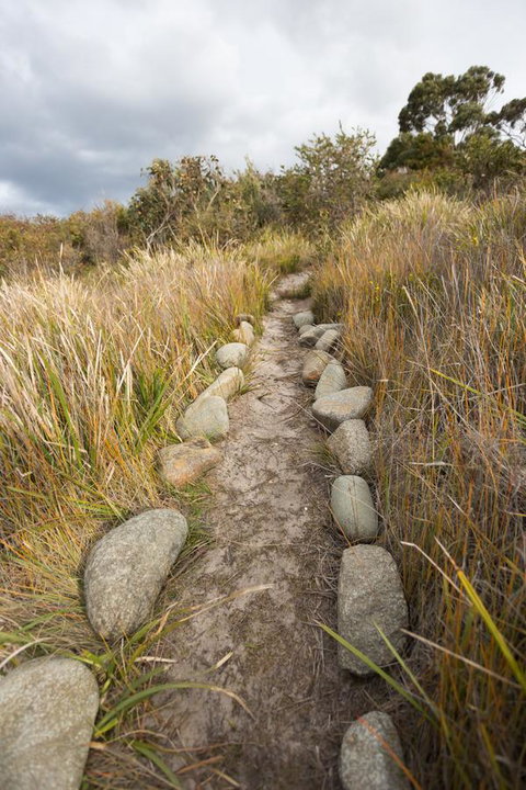 Larus Waterfront Cottage - New South Wales Tourism  16