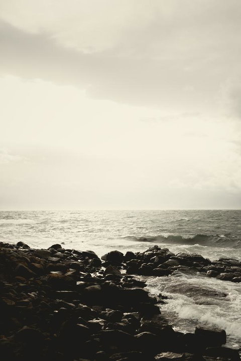 Larus Waterfront Cottage - New South Wales Tourism  21