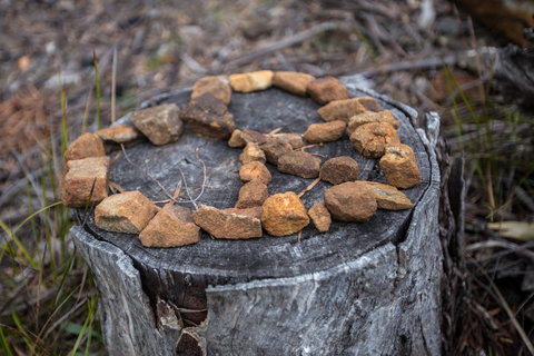 Rocky Hills Retreat - New South Wales Tourism  15