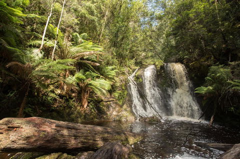 Strahan Village - New South Wales Tourism  27