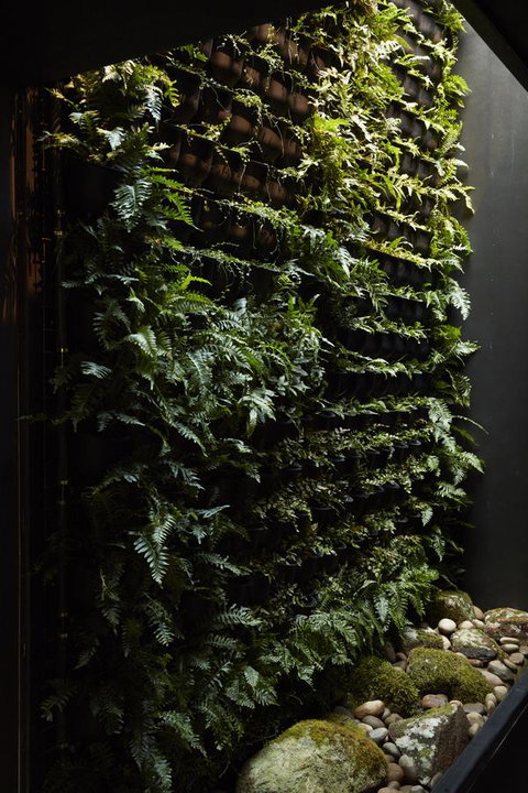 Moss Hotel - New South Wales Tourism  2