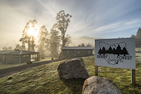 Derby Forest Cabins - New South Wales Tourism  0