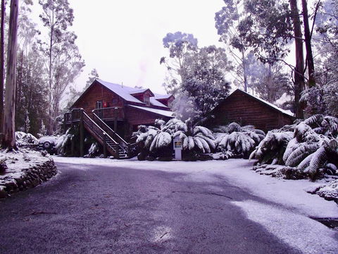 Lemonthyme Wilderness Retreat - New South Wales Tourism  12