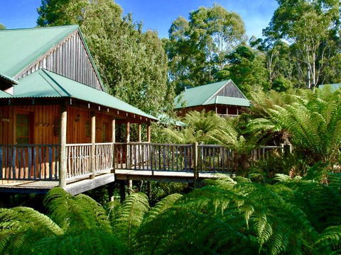 Lemonthyme Wilderness Retreat - New South Wales Tourism  11