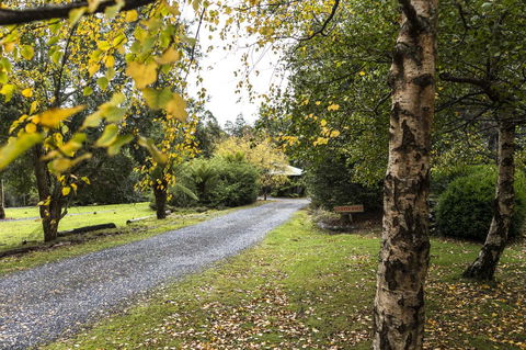Cradle Forest Inn - New South Wales Tourism  36