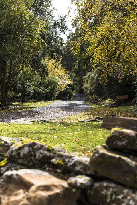 Cradle Forest Inn - New South Wales Tourism  34