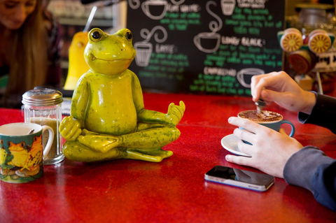 The Pickled Frog - New South Wales Tourism  30