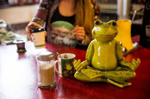 The Pickled Frog - New South Wales Tourism  32