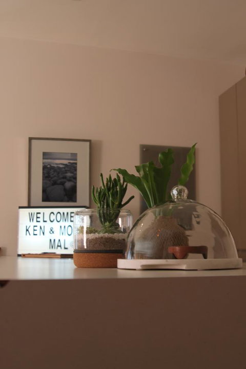 The Old Federal Coffee Palace - New South Wales Tourism  4