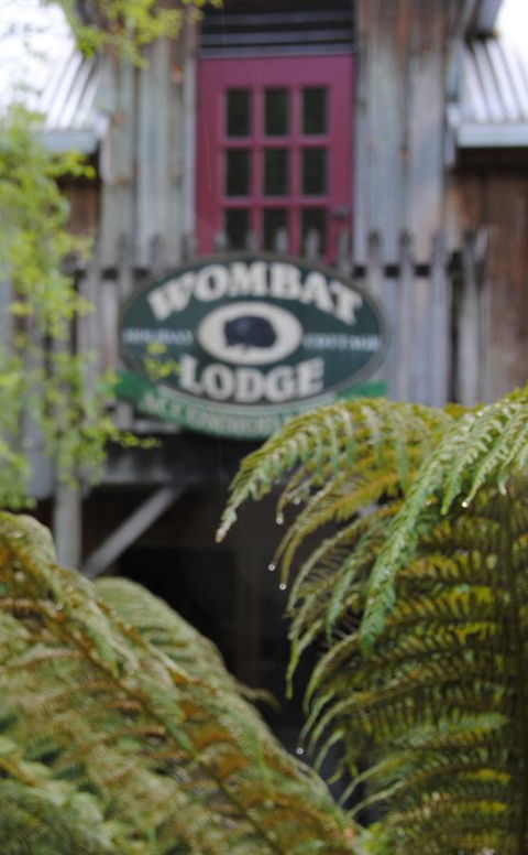 The Wombat Cottage - New South Wales Tourism  0