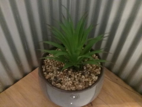 Tullah Tavern - New South Wales Tourism  6