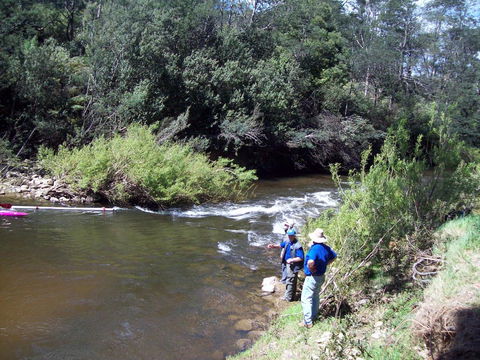 St. Pauls Bed & Breakfast - New South Wales Tourism  26