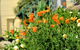 St. Pauls Bed & Breakfast - thumb 44
