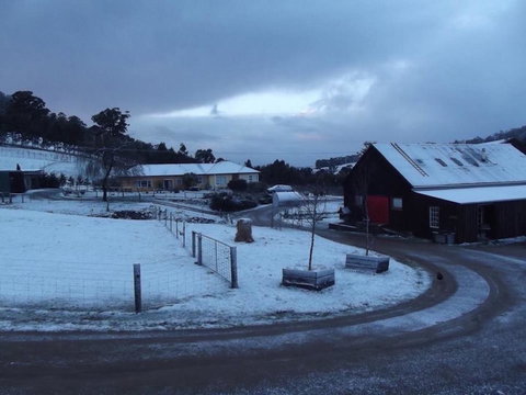 Eden Orchard & Farmstay - New South Wales Tourism  23